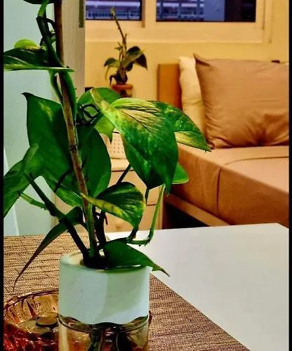Apartment Field Smdc 1br W/ Netflix